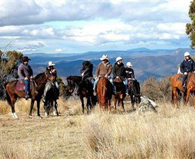 Snowy Wilderness - Grafton Accommodation 0