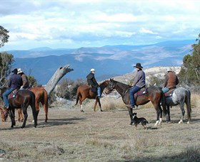 Snowy Wilderness - Grafton Accommodation 3