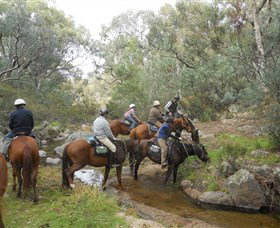Snowy Wilderness - Grafton Accommodation 5