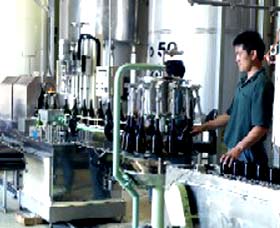 Sun Masamune Sake Brewery - Grafton Accommodation 2