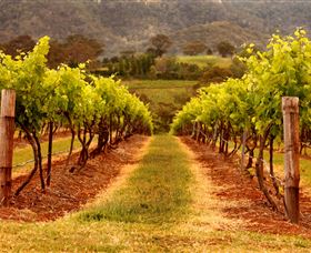 Hunter Valley Wine School - Grafton Accommodation 1