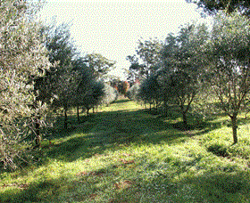 Langdale Farm - Grafton Accommodation 0