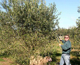 Langdale Farm - Grafton Accommodation 3