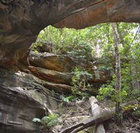 Cave Creek Walking Track - Grafton Accommodation