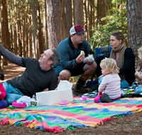 State Forests of the Watagan Mountains - Grafton Accommodation