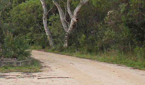 Riverview Walking Track - Grafton Accommodation 0