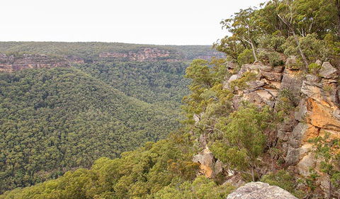 Riverview Walking Track - Grafton Accommodation 2