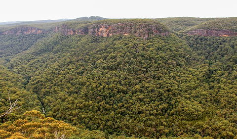 Riverview Walking Track - Grafton Accommodation 3