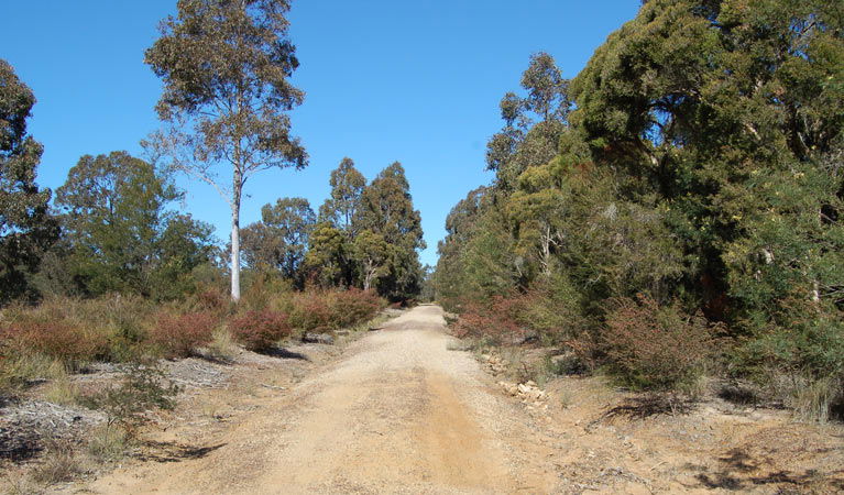 Elrington NSW Grafton Accommodation