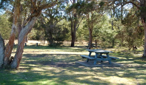Werakata National Park - Grafton Accommodation 1
