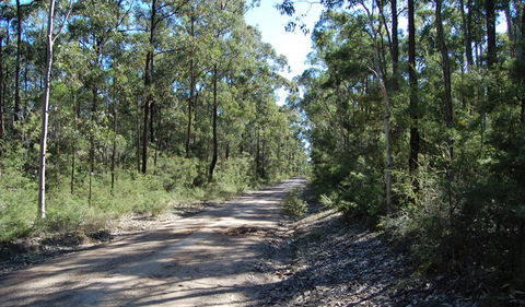 Werakata National Park - Grafton Accommodation 2