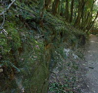 Hidden Treasure track