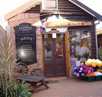 Australian Alpaca Barn - Morpeth - Grafton Accommodation