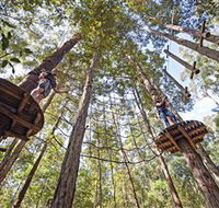 TreeTop Adventure Park Central Coast - Grafton Accommodation