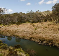 Werrikimbe National Park - Grafton Accommodation