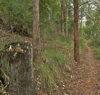 Border loop walk - Grafton Accommodation