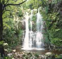 Budderoo National Park - The Falls Walk - Grafton Accommodation