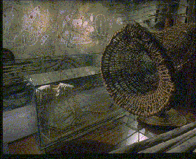 Australian Museum - Grafton Accommodation 3