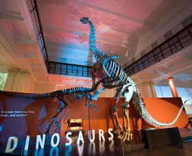 Australian Museum - Grafton Accommodation 0