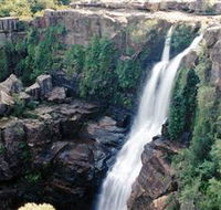 Minnamurra Rainforest Centre Budderoo National Park - Grafton Accommodation