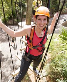 Wild Ropes At Taronga Zoo - Grafton Accommodation 3