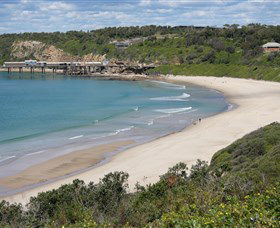 Catherine Hill Bay Beach - Grafton Accommodation 1