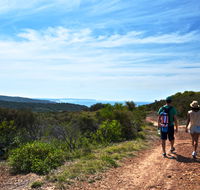 Moonee Beach trail - Grafton Accommodation