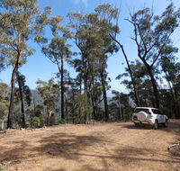 Wadbilliga Road drive - Grafton Accommodation