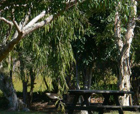 Casino NSW Grafton Accommodation