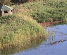 Spring Creek Wetlands Walk - Grafton Accommodation 0