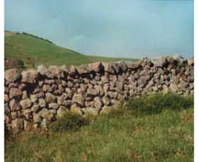 Historic Dry Stone Walls - Grafton Accommodation 0