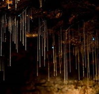 Tamborine Mountain Glow Worm Caves