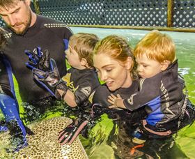 One Mile NSW Grafton Accommodation