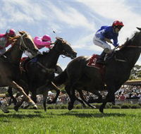 Moruya Racecourse - Grafton Accommodation