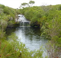 Booderee National Park Green Patch and Telegraph Creek Walking Tracks - Grafton Accommodation