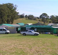 Tinonee Orchid Nursery - Grafton Accommodation