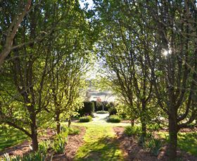 All Saints Garden - Grafton Accommodation 4