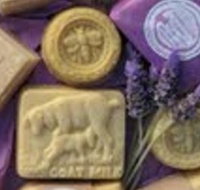 Honeycomb Valley Farm - Grafton Accommodation