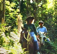 Clarendon Forest Retreat Horse Riding - Grafton Accommodation