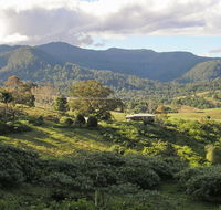Mount Nardi picnic area - Grafton Accommodation