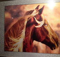 Silk Art Gallery - Grafton Accommodation