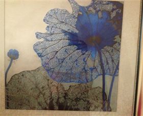 Silk Art Gallery - Grafton Accommodation 1
