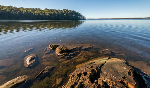 Queens Lake Nature Reserve - Grafton Accommodation 0
