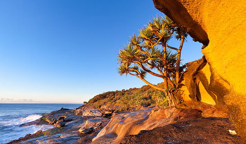 Angourie To Brooms Head - Grafton Accommodation 1
