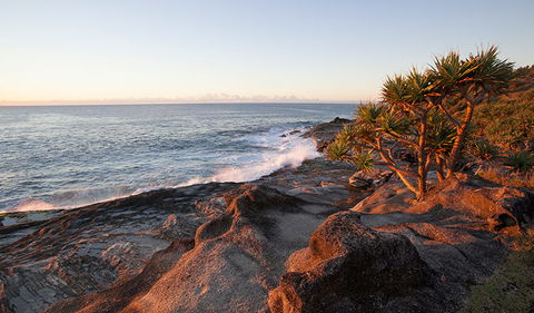 Angourie To Brooms Head - Grafton Accommodation 2