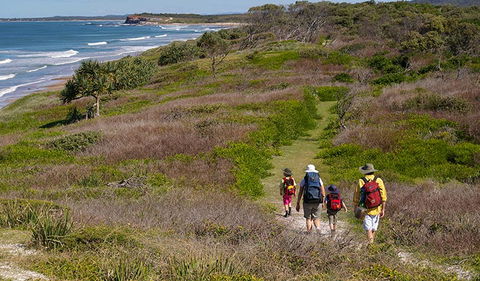 Angourie To Brooms Head - Grafton Accommodation 3