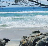 Shark Bay - Grafton Accommodation