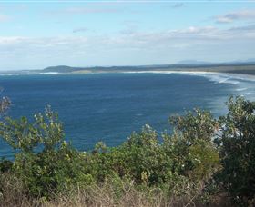 Delicate Beach - Grafton Accommodation 0
