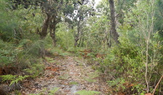 Book Hat Head NSW Attractions Grafton Accommodation Grafton Accommodation