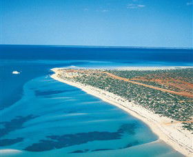 Monkey Mia - Grafton Accommodation 0